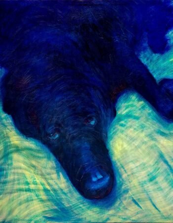 Shannon Webster Art Studio & Gallery