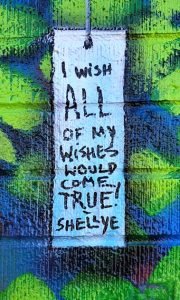 I wish all of my wishes would come true