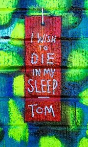 I wish to die in my sleep