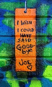 I wish I could have said goodbye