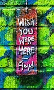 Wish you were here