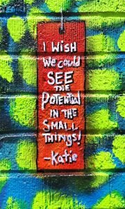 I wish we could see the potential in the small things