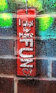 I wish for more FUN!