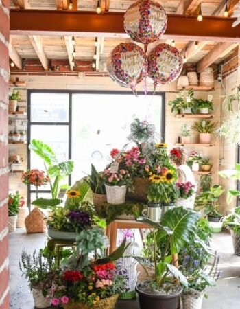 Acola Coffee Company