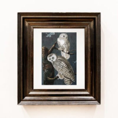 The Frame Shop on Orr Street